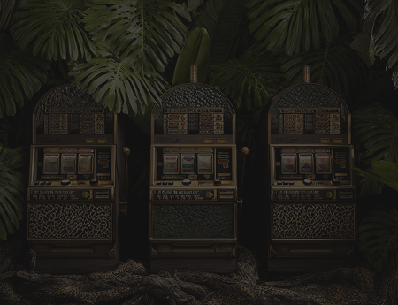 Wild Casino
