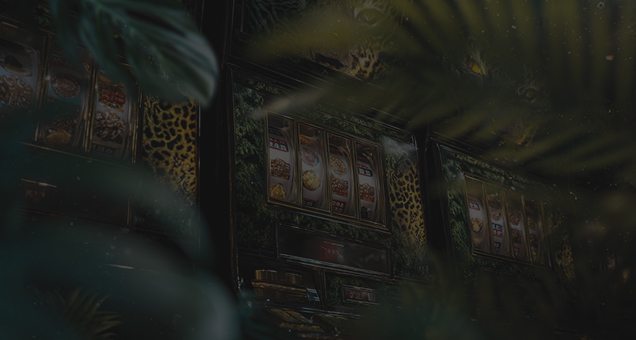 Wild Casino